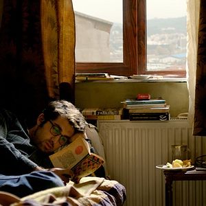 Foto A Árvore dos Frutos Selvagens