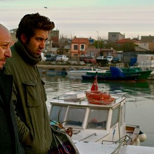 Foto A Árvore dos Frutos Selvagens