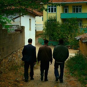 Foto A Árvore dos Frutos Selvagens