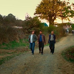 Foto A Árvore dos Frutos Selvagens