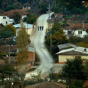 Foto A Árvore dos Frutos Selvagens