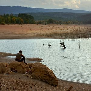 Foto A Árvore dos Frutos Selvagens