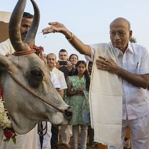 Foto O Médico Indiano