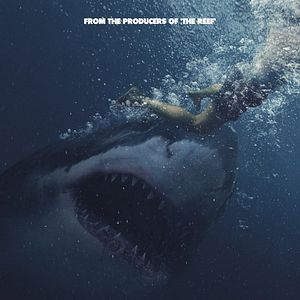 Foto Grande Tubarão Branco