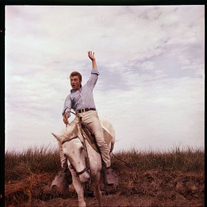 Foto Johnny Hallyday