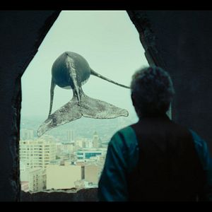 Foto Os Versos Esquecidos