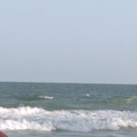 Foto Dê Lembranças a Todos