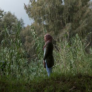 Foto A Natureza do Tempo