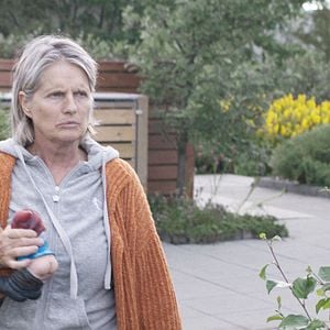 Foto A Sombra da Árvore