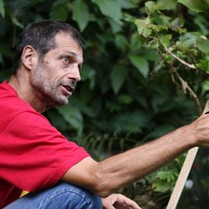 Foto Observar e Absorver