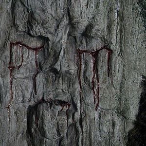 Foto Game of Thrones