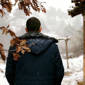 Foto A Árvore dos Frutos Selvagens