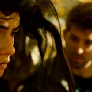 Foto A Árvore dos Frutos Selvagens