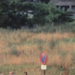 Foto Durante L'estate