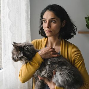 Foto Die defekte Katze