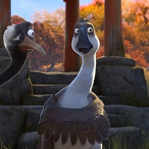 Foto Pato Pato Ganso