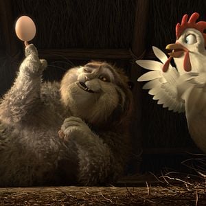 Foto Pato Pato Ganso