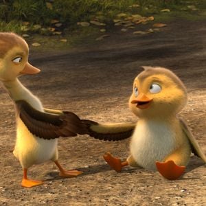 Foto Pato Pato Ganso