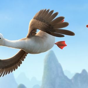 Foto Pato Pato Ganso