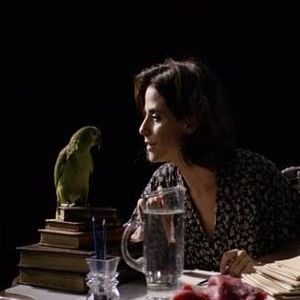 Foto Sedução da Carne