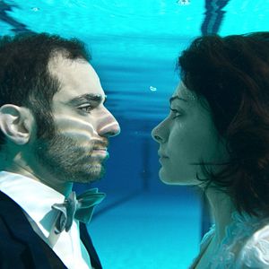 Foto Die defekte Katze