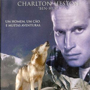 Foto Call of the Wild