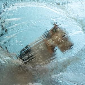 Foto O Tempo Não Para