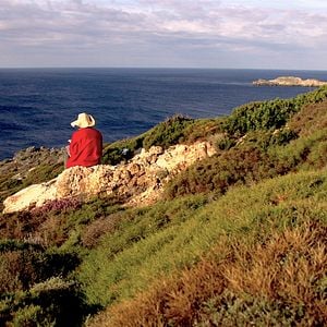 Foto Nelson Felix - Método Poético para Descontrole de Localidade