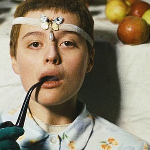 Foto Vtáckovia, Siroty a Blázni