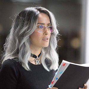 Foto The Hummingbird Project