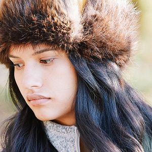 Foto Through Black Spruce