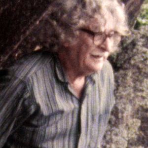 Foto Filme Paisagem - Um Olhar Sobre Roberto Burle Marx