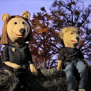 Foto A Socióloga e o Ursinho