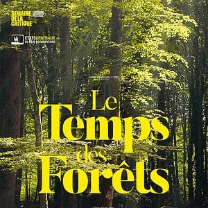 Foto O Tempo das Florestas