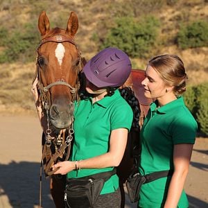 Foto O Destino Indomável