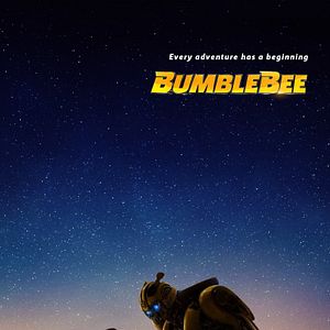 Foto Bumblebee
