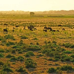 Foto Alguma Coisa Está Acontecendo