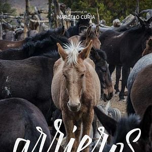 Foto Arrieros