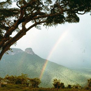 Foto Fly, Rocket Fly! - Mit Macheten zu den Sternen