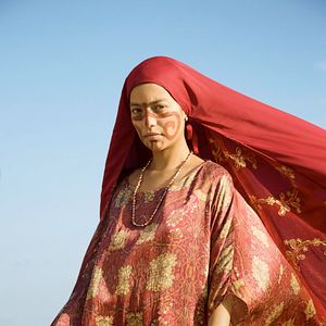 Foto Pássaros de Verão