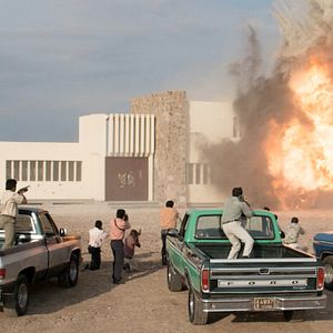 Foto Pássaros de Verão