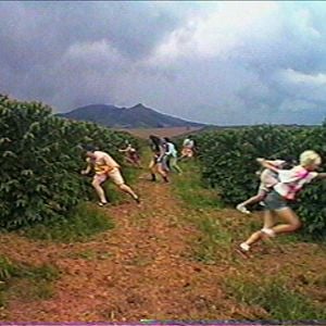 Foto Os Jovens Baumann