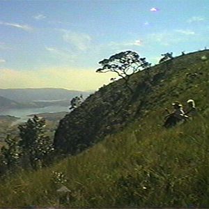 Foto Os Jovens Baumann