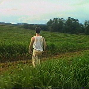 Foto Os Jovens Baumann