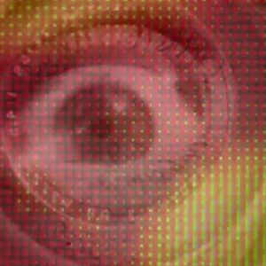 Foto 24/25 il Fotogramma in Più