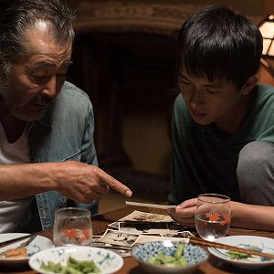 Foto Kazenoki Wa Koto No Youni