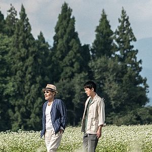 Foto Kazenoki Wa Koto No Youni