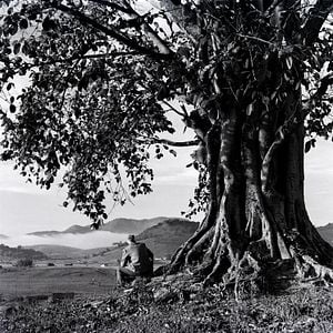 Foto Humberto Mauro, Cinema É Cachoeira