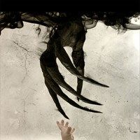 Foto O Despertar das Sombras