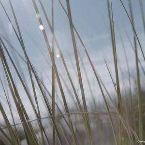 Foto Menina de Areia